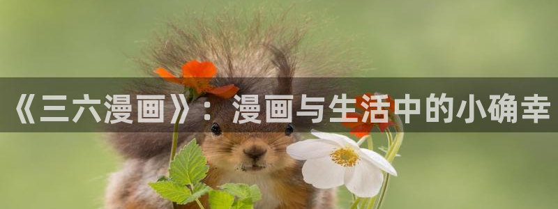 女神漫画网页入口：《三六漫画》：漫画与生活中的小确幸