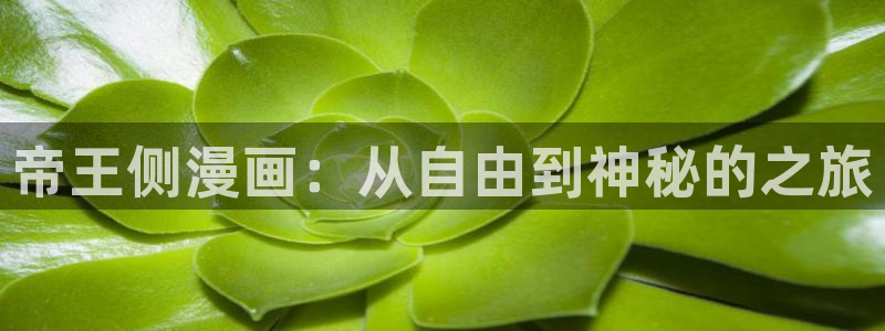 女神漫画官方版：帝王侧漫画：从自由到神秘的之旅